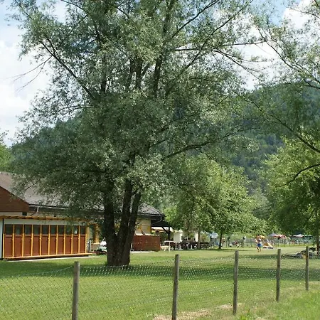 Greif Sankt Kanzian am Klopeiner See